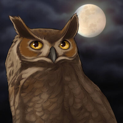 Great Horned Owl illustration